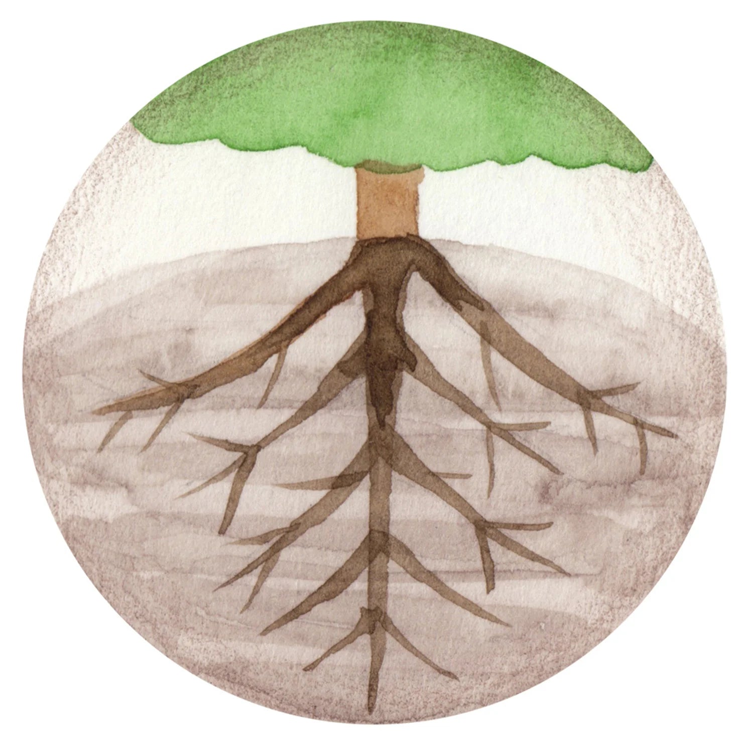 Dosha Kapha - Água e Terra