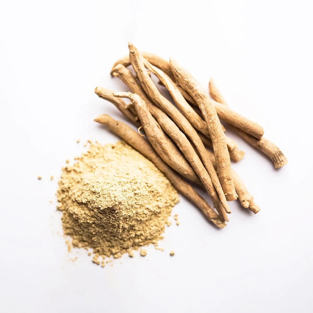 Ashwagandha Ecológica en Polvo Withania somnifera para el bienestar diario ayurvédico