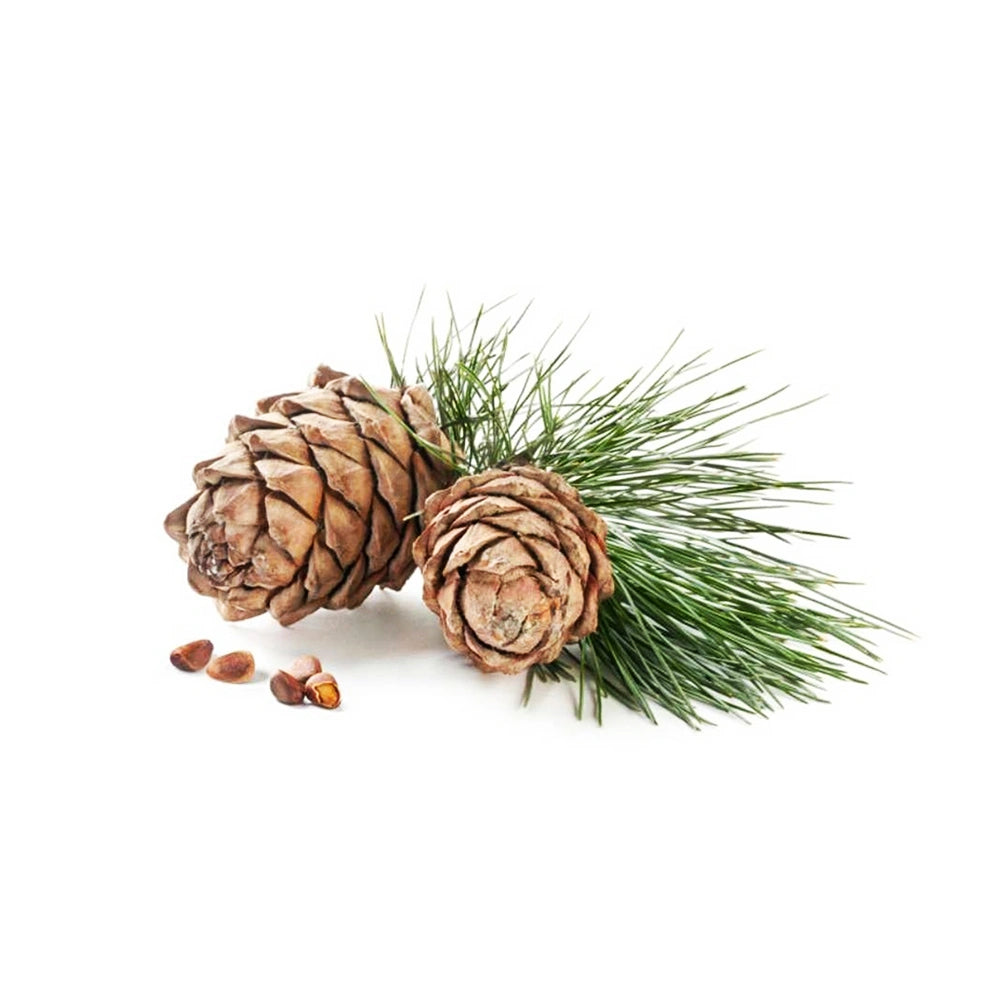 Cedarwood Essential Oil