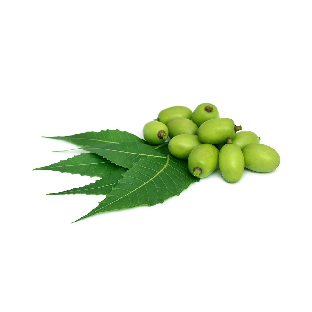 Neem Mask Ayurvedic Scalp Treatment
