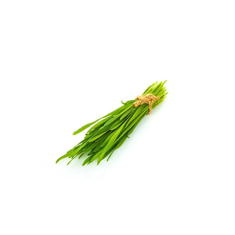 Óleo essencial de erva-príncipe Cymbopogon citratus para aromaterapia, clareza mental, energia e rituais de bem-estar.