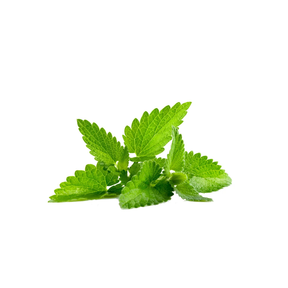 Óleo essencial de hortelã-pimenta puro para promover a clareza mental, apoiar uma respiração confortável, aliviar a sensação de tensão e revitalizar corpo e mente através da aromaterapia.