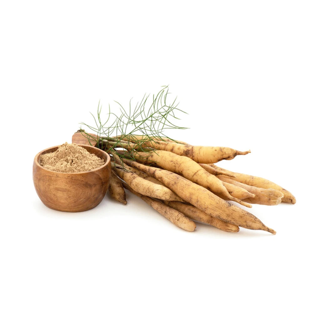 Suplemento ayurvédico de Shatavari em 60 cápsulas para equilíbrio hormonal natural