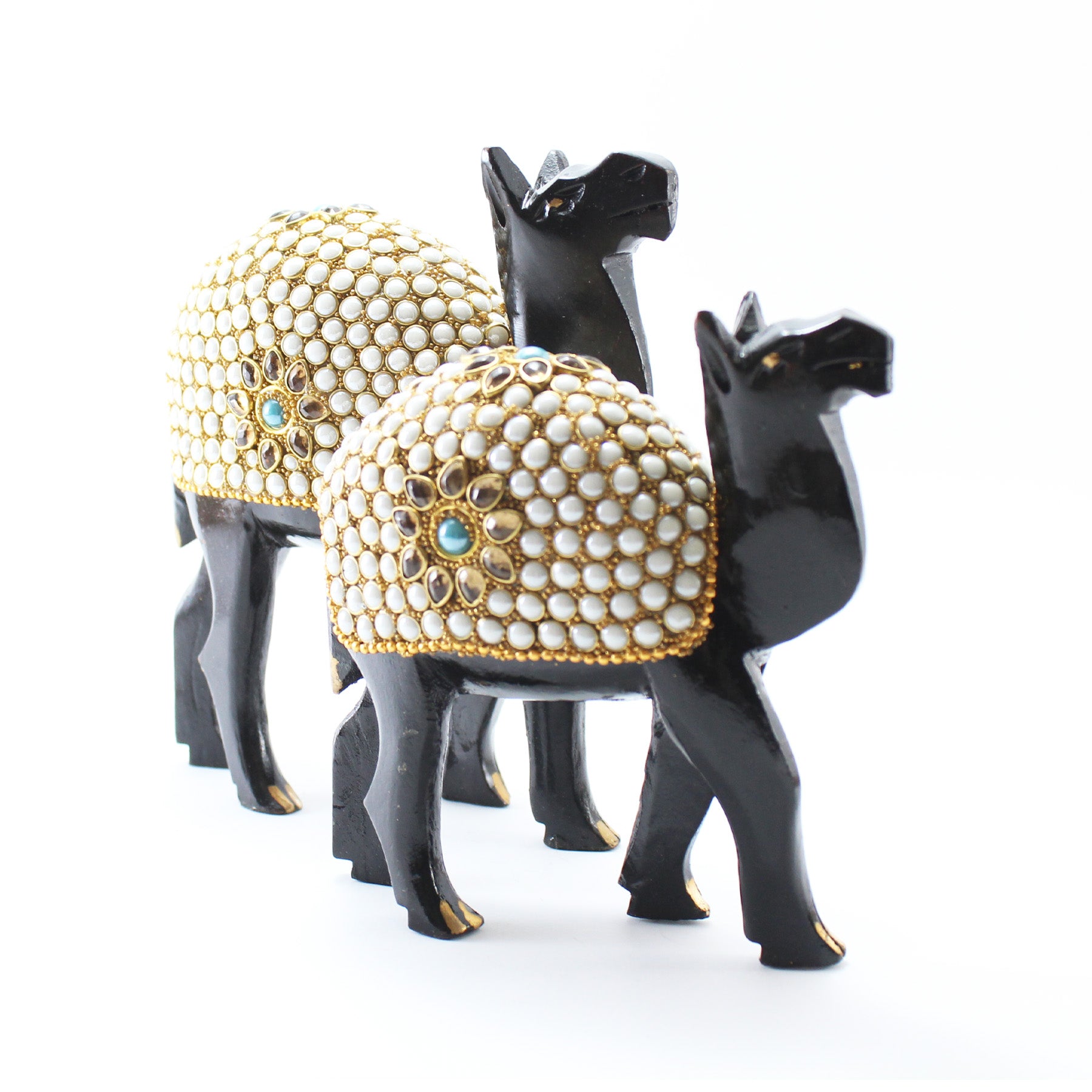 Conjunto Grande de Camelos