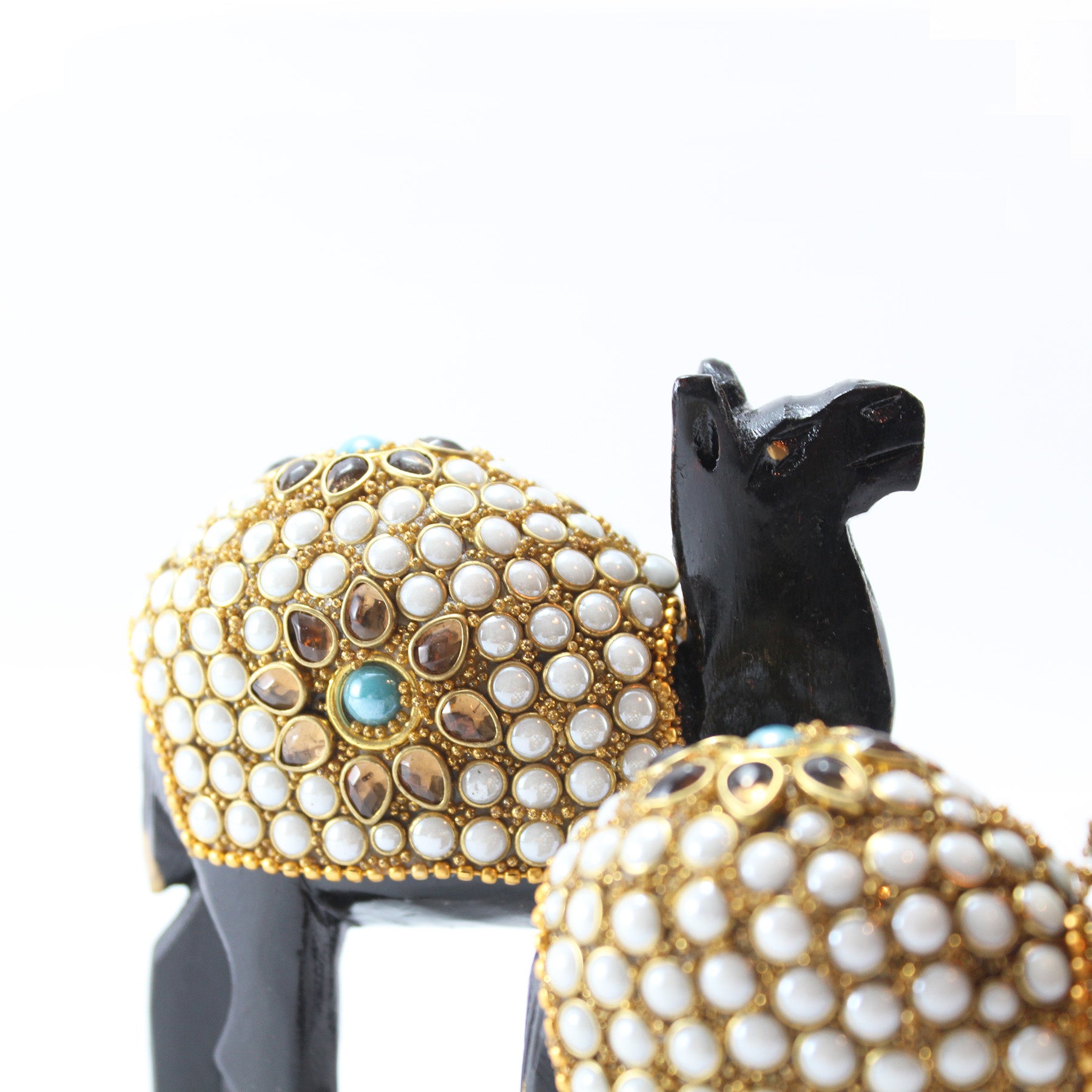 Conjunto Pequeno de Camelos