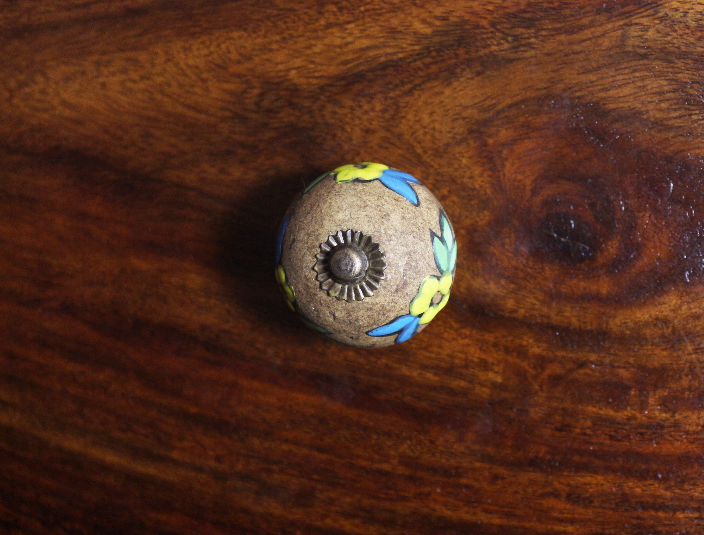 Hand Painted Ceramic Knobs XI