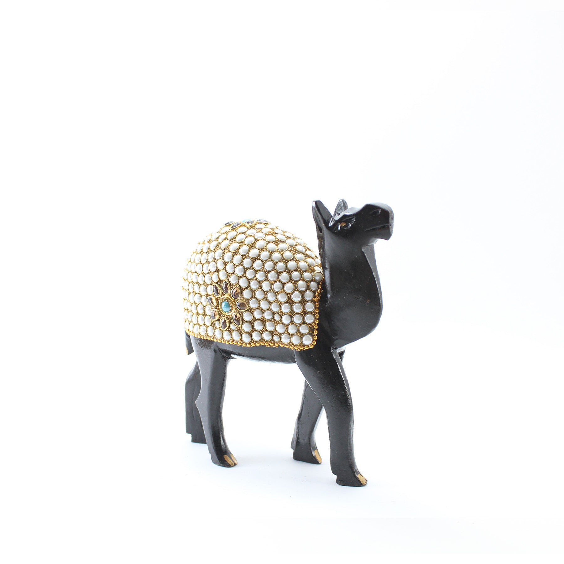 Conjunto Grande de Camelos