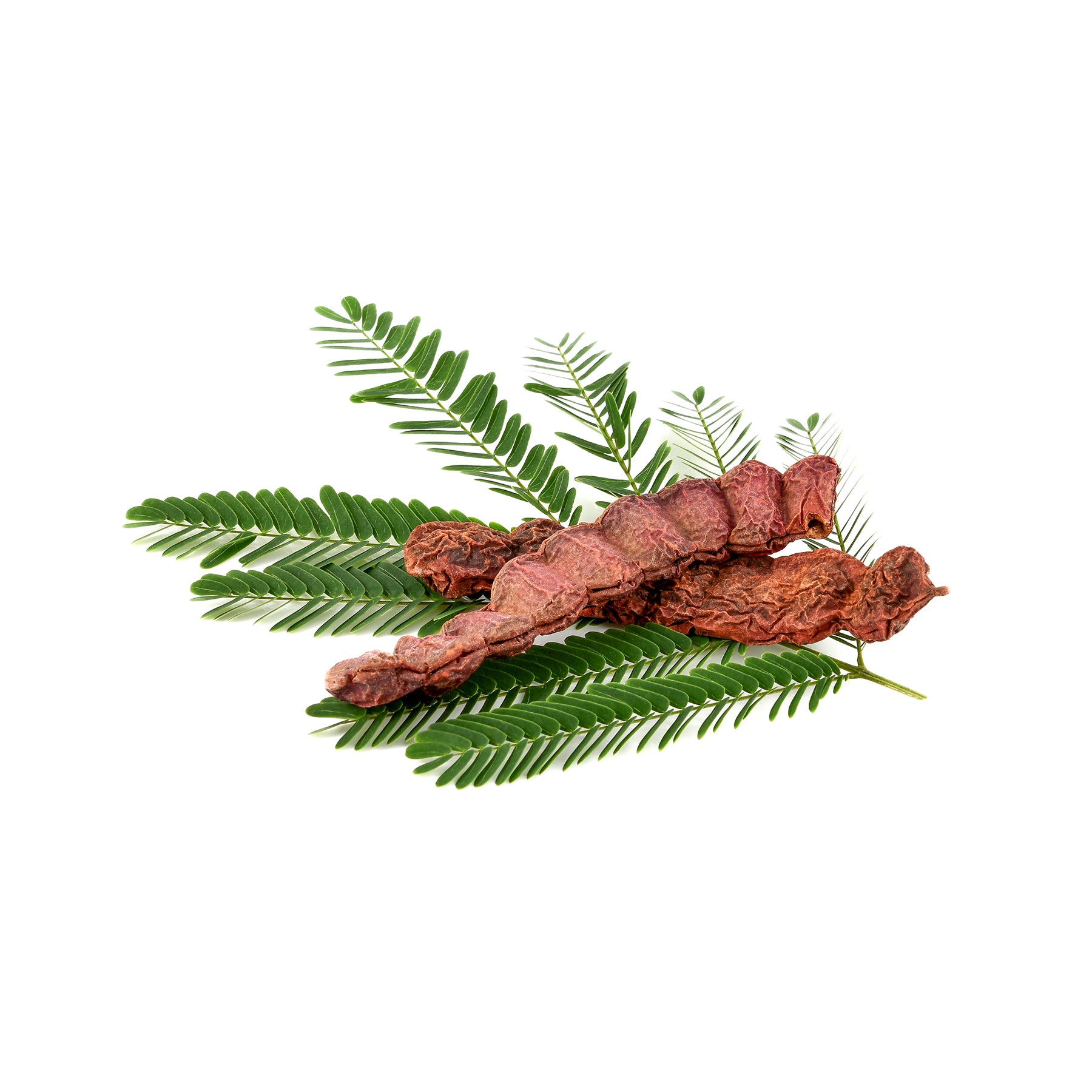 Lavado Capilar Herbal de Shikakai en Polvo