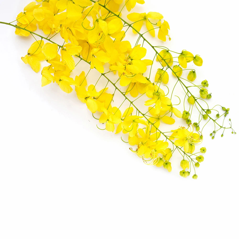 Ayurvedic Cassia Hair Mask