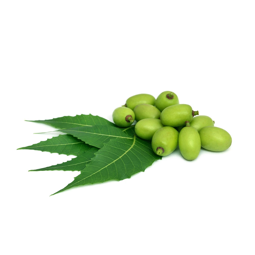 Máscara Facial e Capilar Herbal de Neem em pó