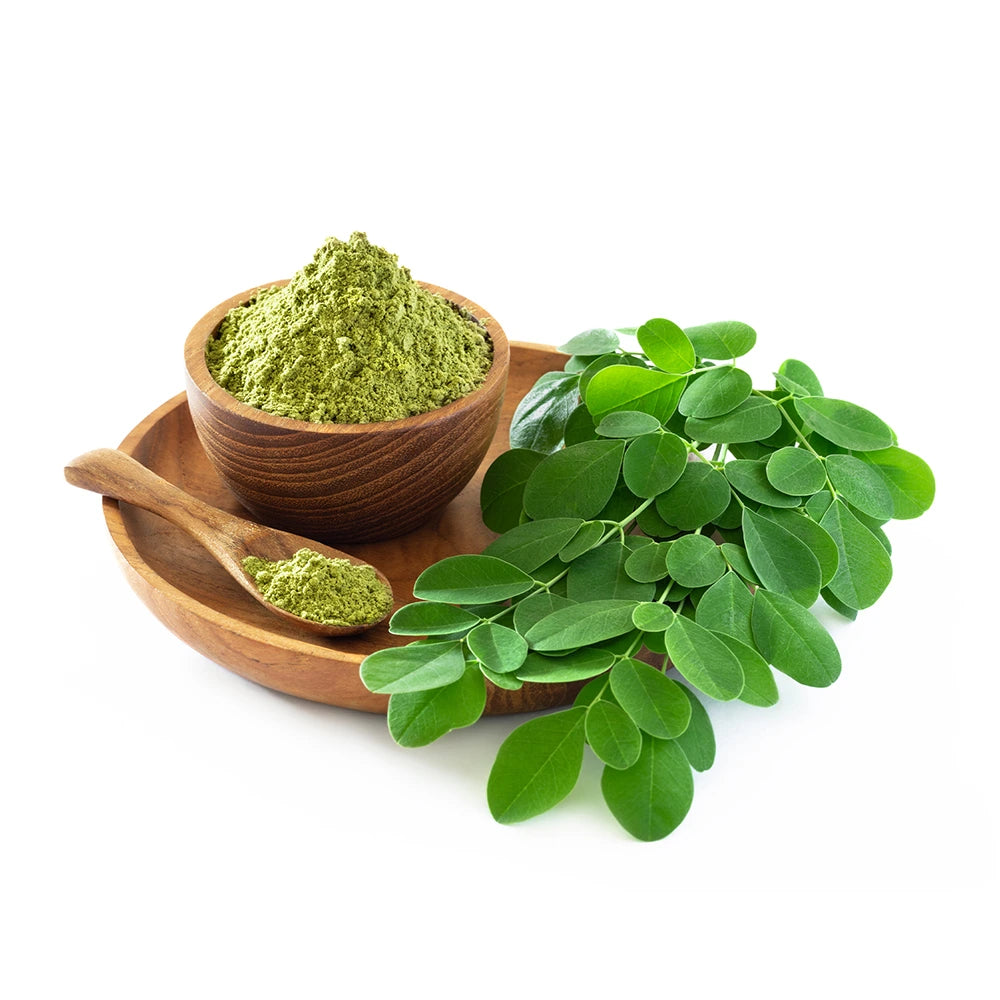 Moringa Oleifera en Polvo Ecológica 100% pura, superalimento ayurvédico