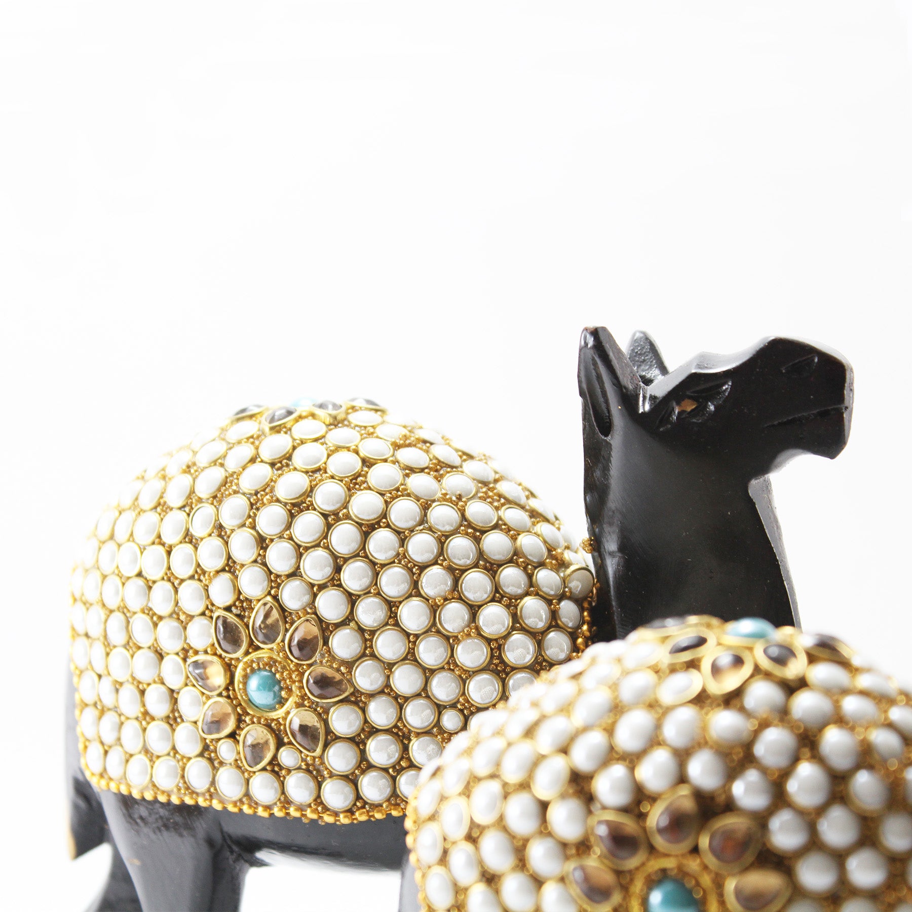 Conjunto Grande de Camelos